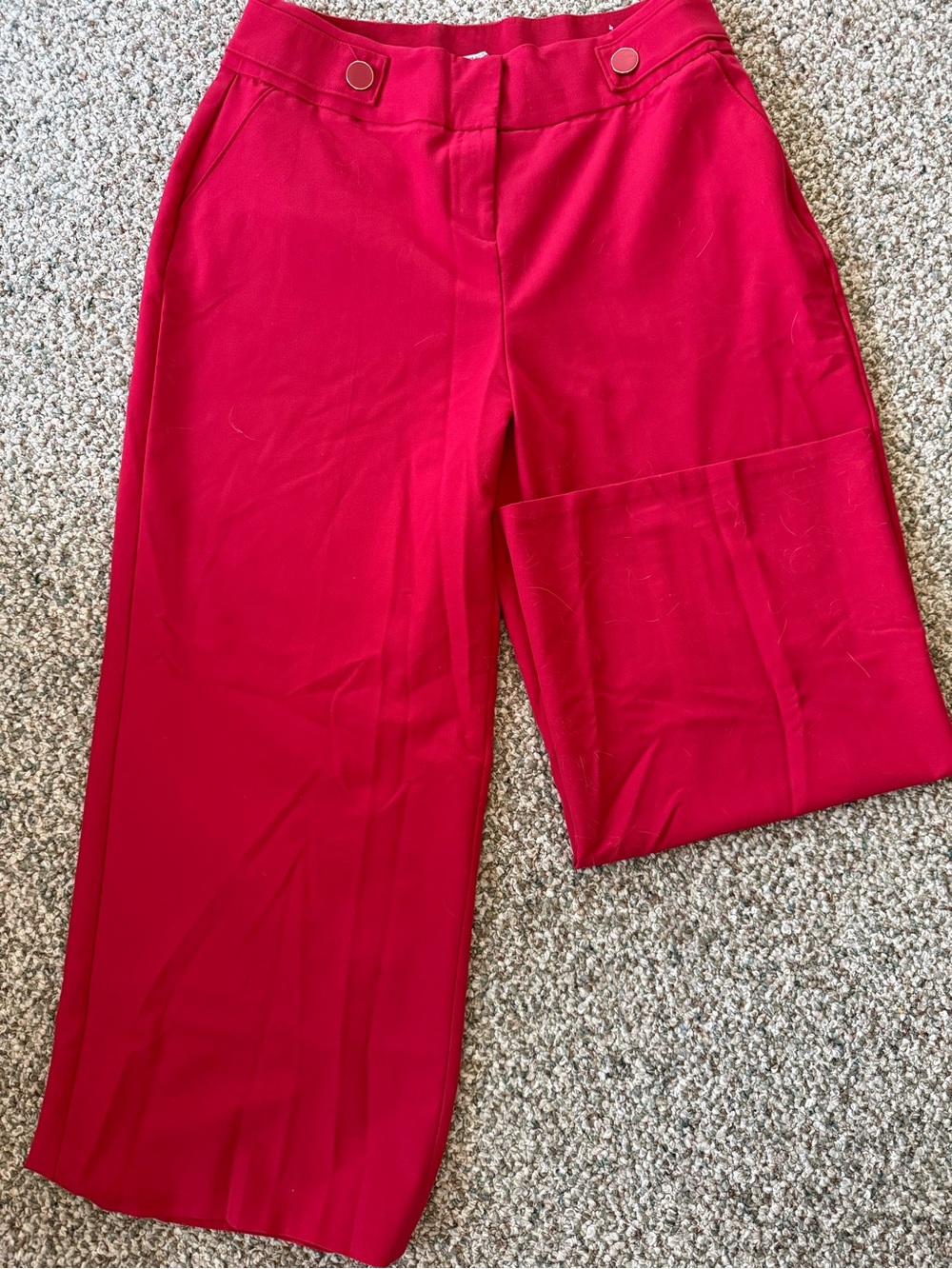 Lane Bryant Vibrant Red Trousers